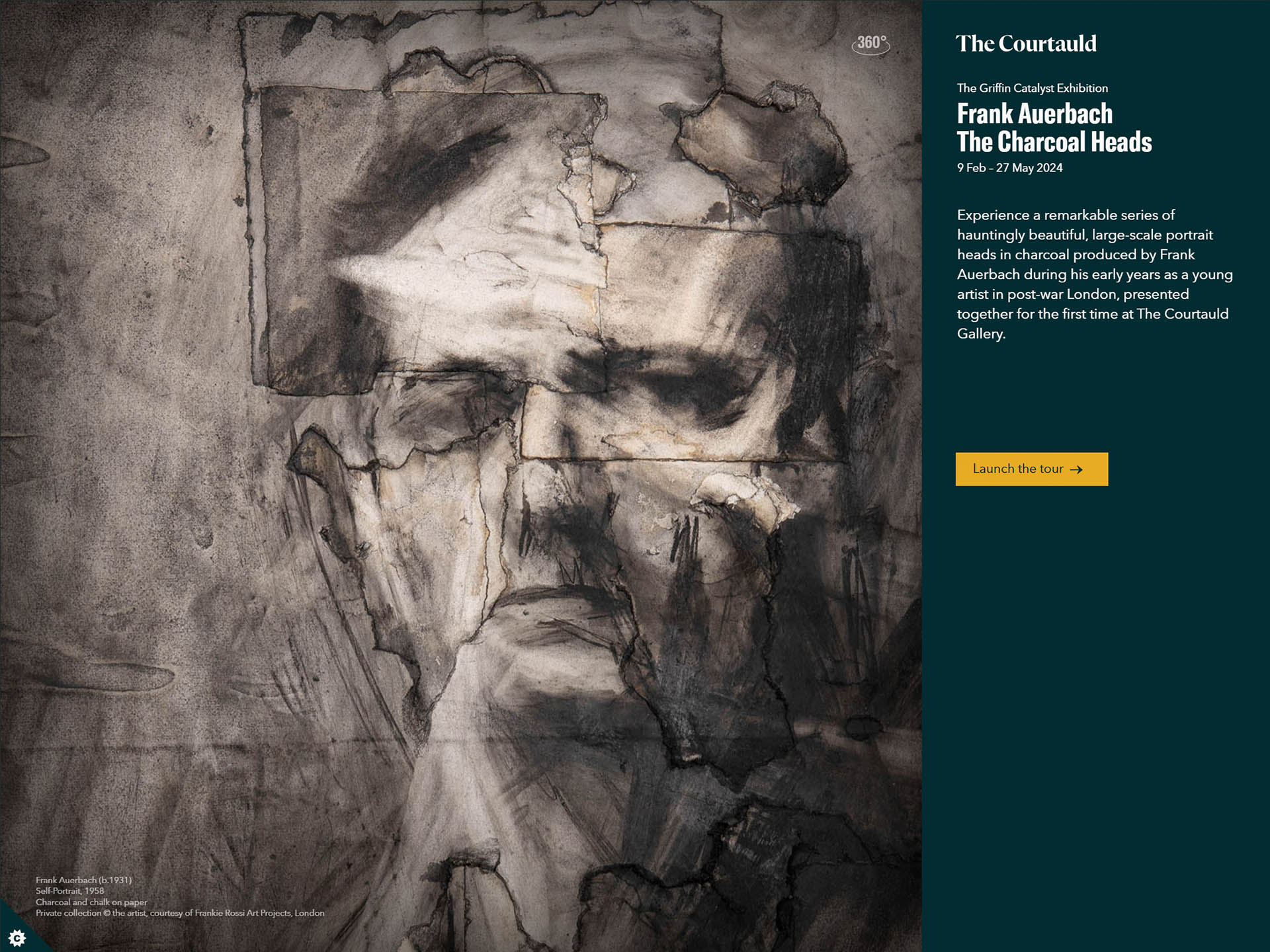 Frank Auerbach Charcoal Heads at The Courtauld