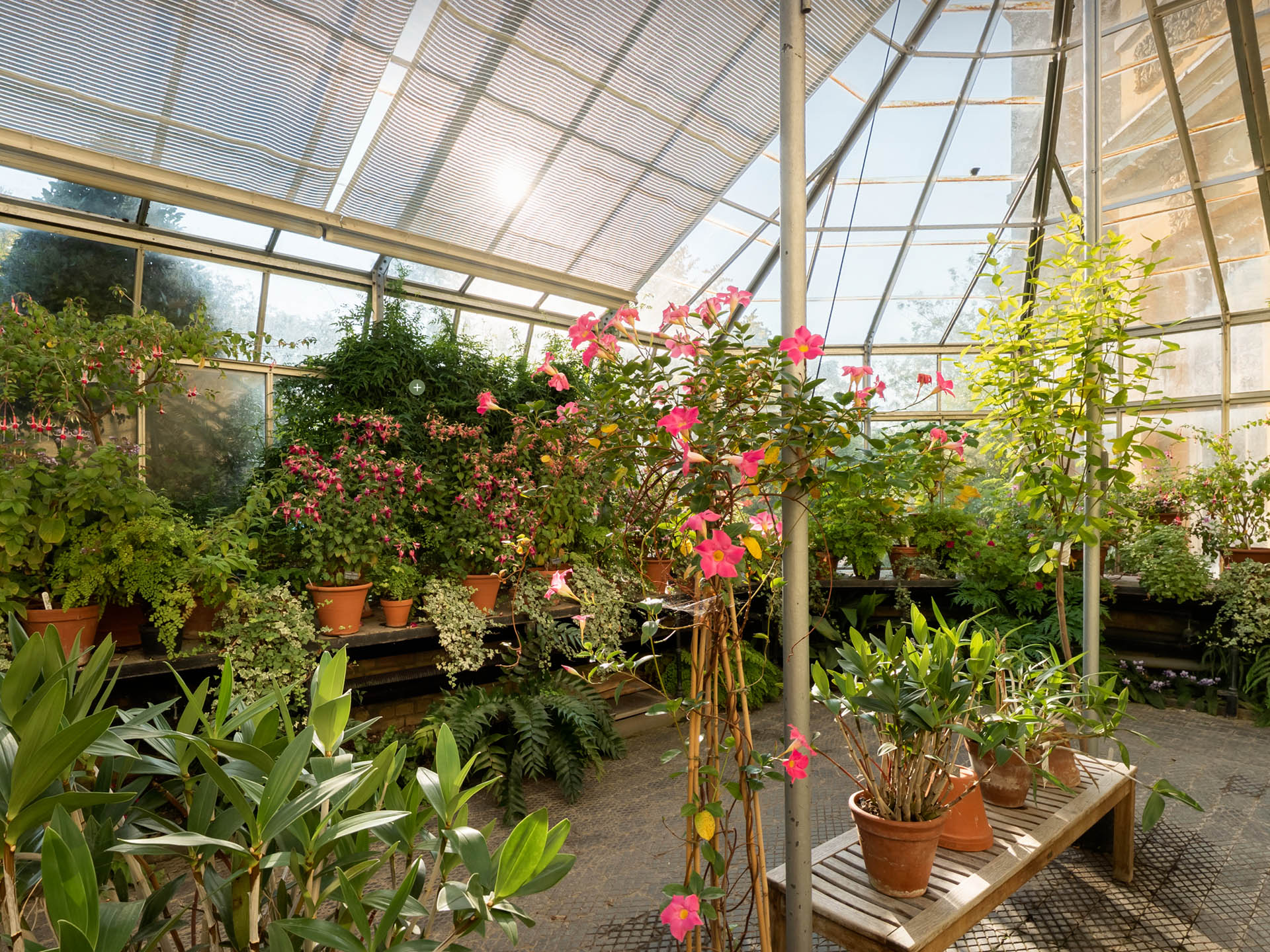 Oxford Botanic Garden